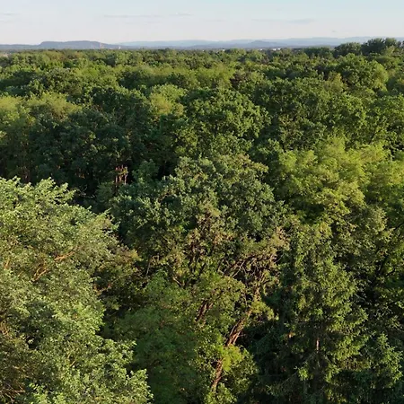 Erlebe Unseren Verein Im Geraeumigen Wohnwagen!