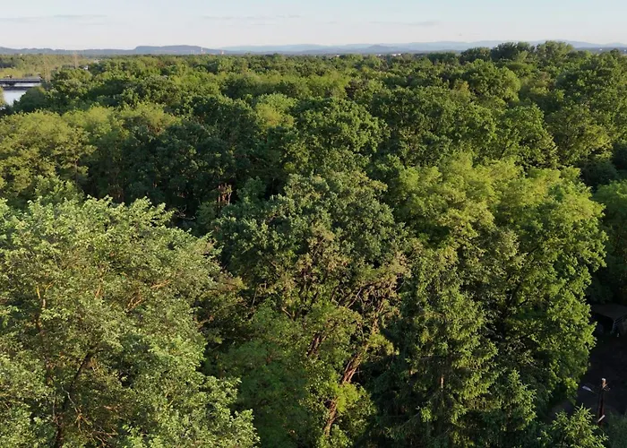 Erlebe Unseren Verein Im Geraeumigen Wohnwagen!